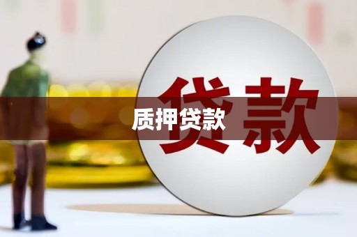 浑源质押贷款