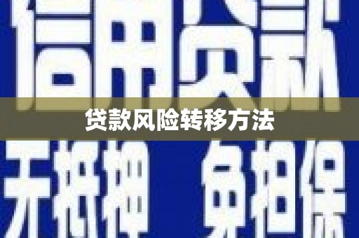 浑源贷款风险转移方法