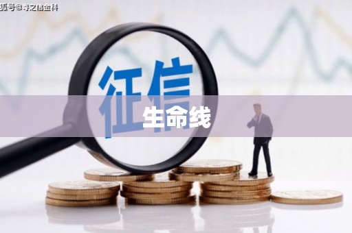 浑源生命线