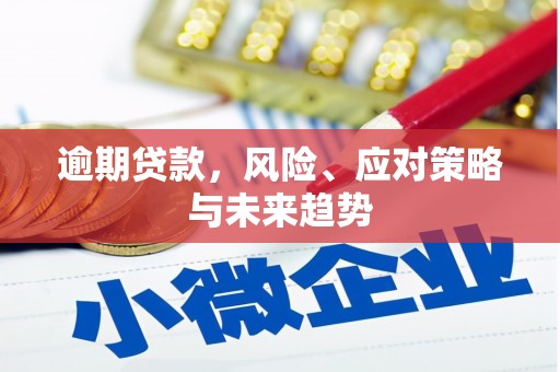 浑源逾期贷款，风险、应对策略与未来趋势