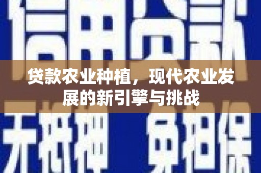浑源贷款农业种植，现代农业发展的新引擎与挑战