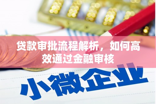 浑源贷款审批流程解析，如何高效通过金融审核