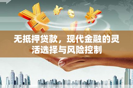 浑源无抵押贷款，现代金融的灵活选择与风险控制
