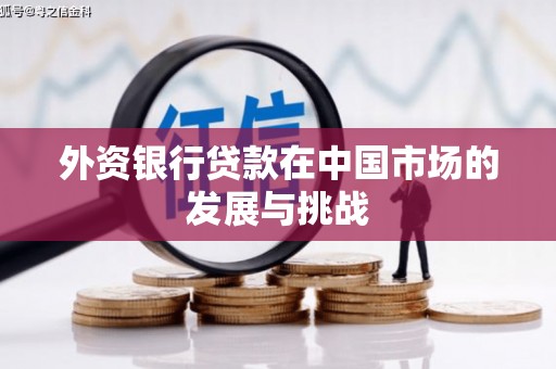浑源外资银行贷款在中国市场的发展与挑战
