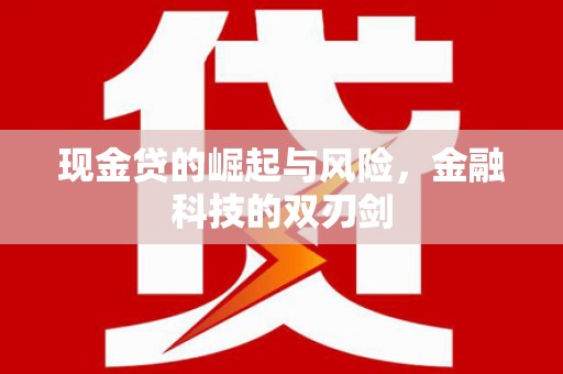 浑源现金贷的崛起与风险，金融科技的双刃剑