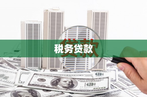 浑源税务贷款