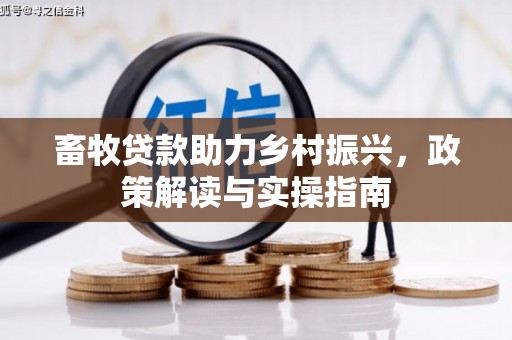浑源畜牧贷款助力乡村振兴，政策解读与实操指南