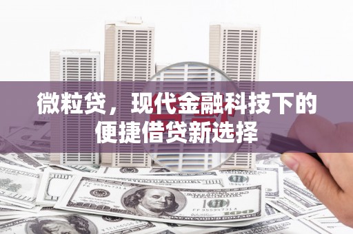 浑源微粒贷，现代金融科技下的便捷借贷新选择