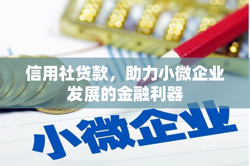 浑源信用社贷款，助力小微企业发展的金融利器