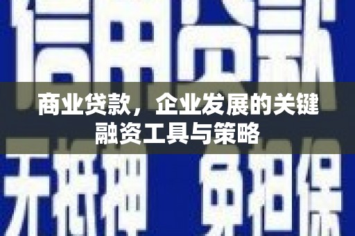 浑源商业贷款，企业发展的关键融资工具与策略