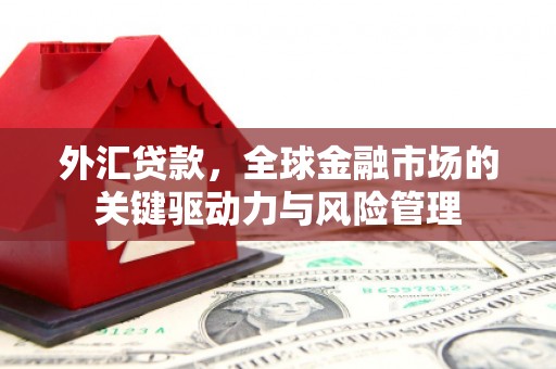 浑源外汇贷款，全球金融市场的关键驱动力与风险管理