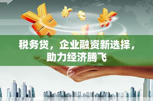 浑源税务贷，企业融资新选择，助力经济腾飞