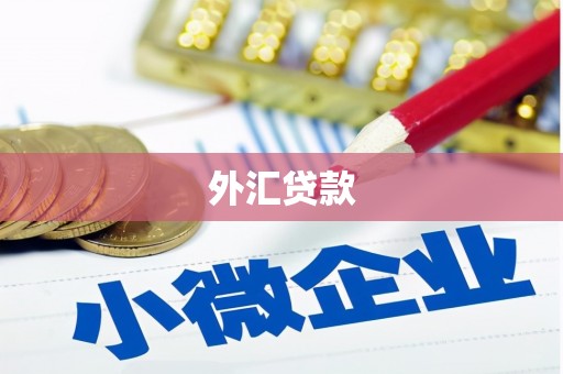 浑源外汇贷款