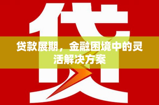 浑源贷款展期，金融困境中的灵活解决方案