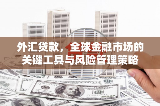 浑源外汇贷款，全球金融市场的关键工具与风险管理策略