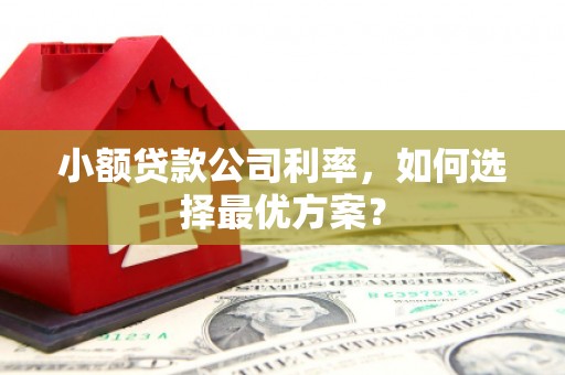 浑源小额贷款公司利率，如何选择最优方案？