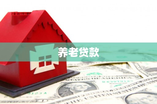 浑源养老贷款