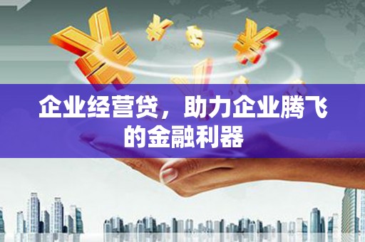 浑源企业经营贷，助力企业腾飞的金融利器