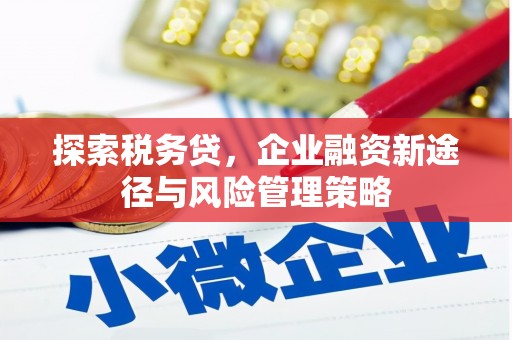 浑源探索税务贷，企业融资新途径与风险管理策略