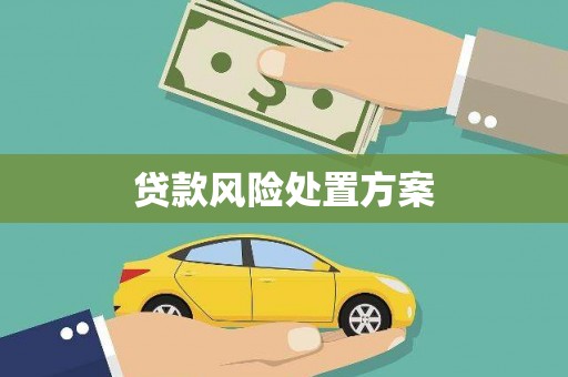 浑源贷款风险处置方案