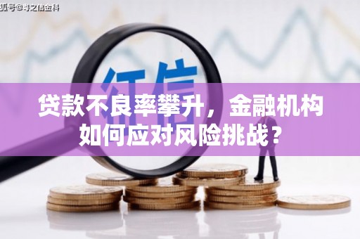 浑源贷款不良率攀升，金融机构如何应对风险挑战？