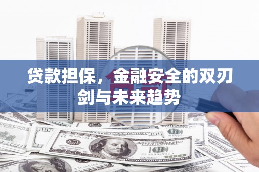 浑源贷款担保，金融安全的双刃剑与未来趋势