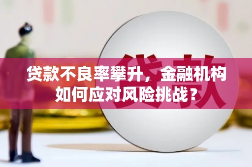浑源贷款不良率攀升，金融机构如何应对风险挑战？