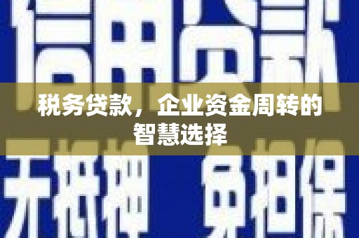 浑源税务贷款，企业资金周转的智慧选择