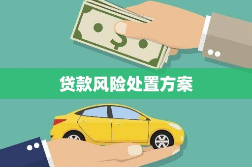 浑源贷款风险处置方案