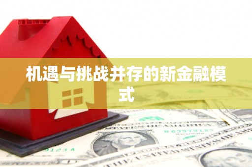 浑源机遇与挑战并存的新金融模式