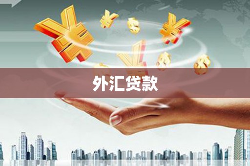 浑源外汇贷款