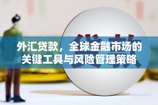 浑源外汇贷款，全球金融市场的关键工具与风险管理策略