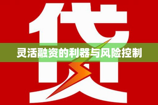 浑源灵活融资的利器与风险控制