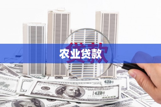 浑源农业贷款