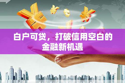 浑源白户可贷，打破信用空白的金融新机遇