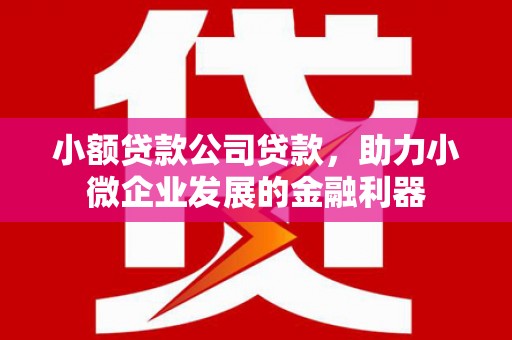 浑源小额贷款公司贷款，助力小微企业发展的金融利器