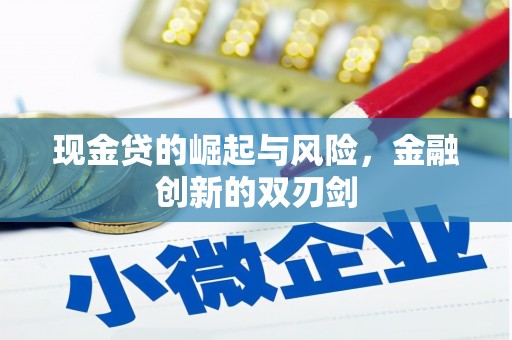 浑源现金贷的崛起与风险，金融创新的双刃剑
