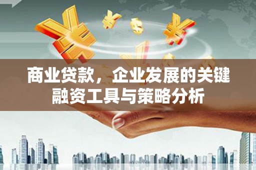 浑源商业贷款，企业发展的关键融资工具与策略分析