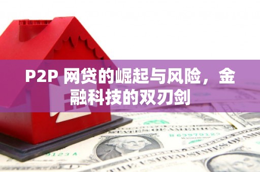 浑源P2P 网贷的崛起与风险，金融科技的双刃剑