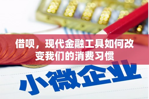 浑源借呗，现代金融工具如何改变我们的消费习惯