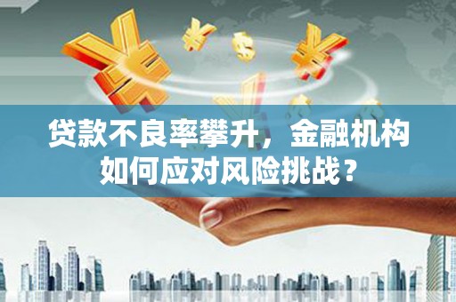 浑源贷款不良率攀升，金融机构如何应对风险挑战？