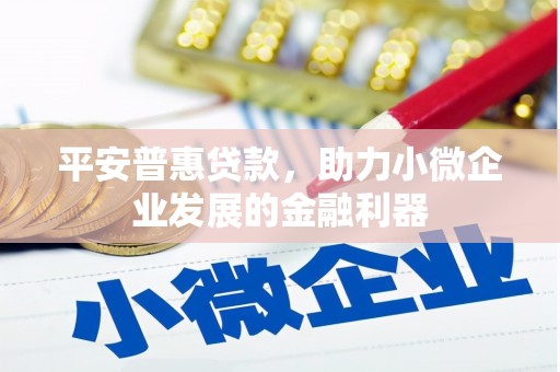 浑源平安普惠贷款，助力小微企业发展的金融利器
