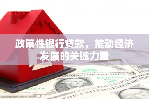 浑源政策性银行贷款，推动经济发展的关键力量