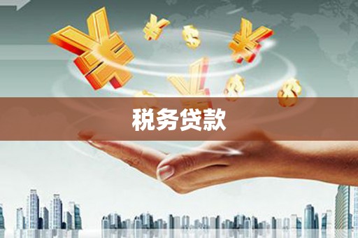 浑源税务贷款
