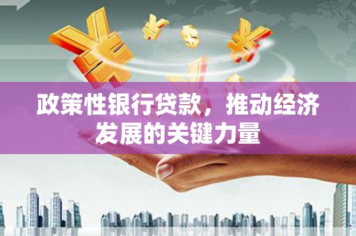 浑源政策性银行贷款，推动经济发展的关键力量