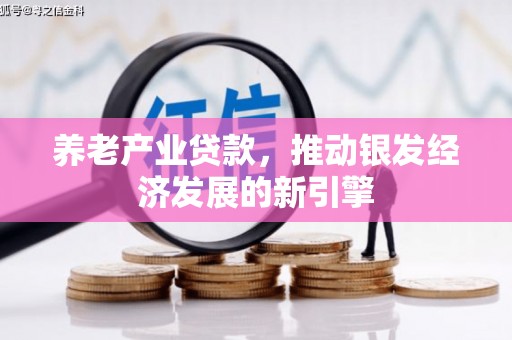 浑源养老产业贷款，推动银发经济发展的新引擎