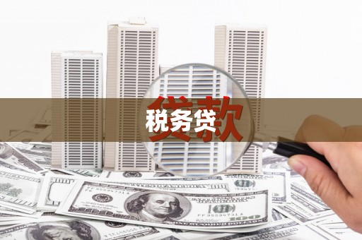 浑源税务贷