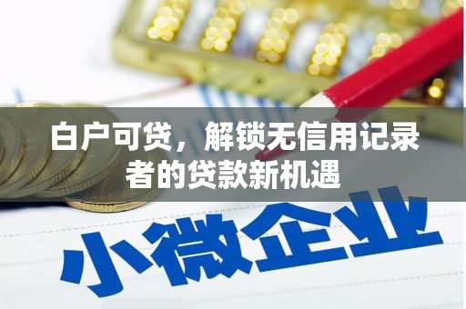 浑源白户可贷，解锁无信用记录者的贷款新机遇