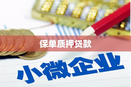 浑源保单质押贷款