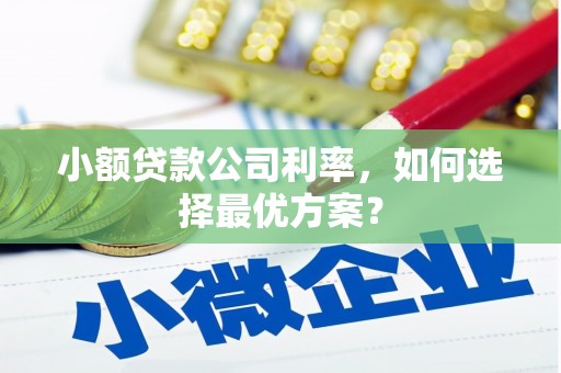 浑源小额贷款公司利率，如何选择最优方案？